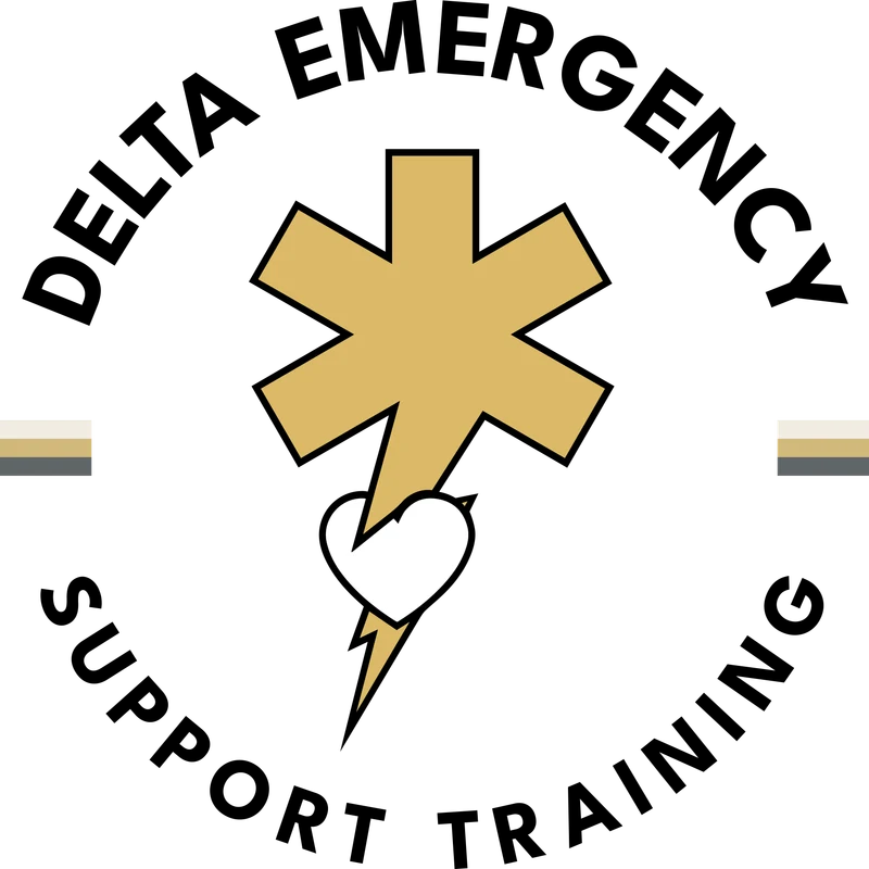 The original Delta Lifebolt badge: a gold Star of Life with a white heart and a lightning bolt, ringed by the company name