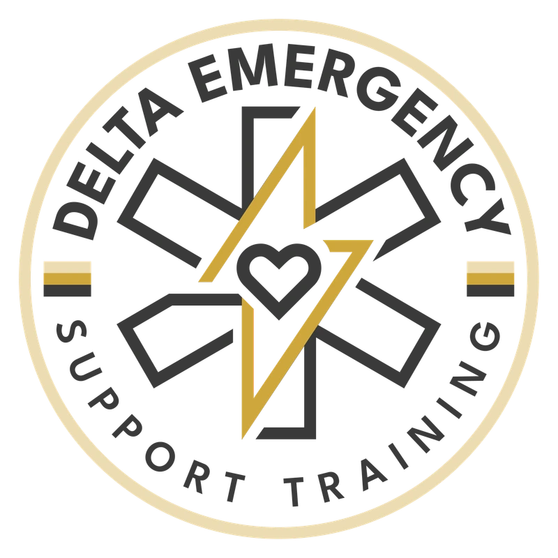 The current Delta badge: the Lifebolt redrawn in a single line inside a circular badge with the company name